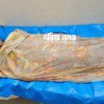 Housewife hanged herself in Pekua