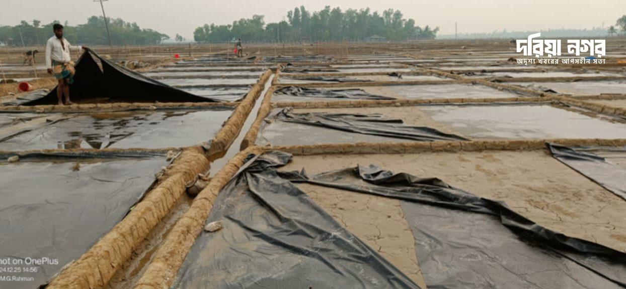 Miscreants cut polythene of salt farming land in Pekua