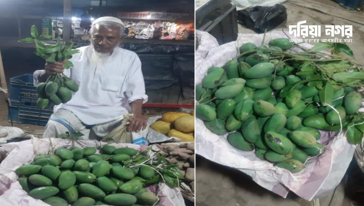 "The first raw mango of the season in the market in Teknaf."