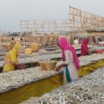 কক্সবাজারে শুঁটকি উৎপাদনের ধুম, রপ্তানির টার্গেট ৪০০ কোটি টাকা