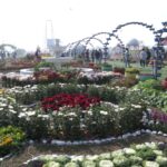 তৃতীয় বারে মতো ফুল দিয়ে সেজেছে চট্টগ্রামের ডিসি পার্ক