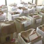 ত্রয়োদশ জাতীয় সংসদ নির্বাচন ও গণভোট অনুষ্ঠানে প্রস্তুত নির্বাচন কমিশন