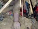 ভারী বর্ষণে পাহাড়ধস: উখিয়ার রোহিঙ্গা ক্যাম্পে ৮, স্থানীয় ১ জনের মৃত্যু